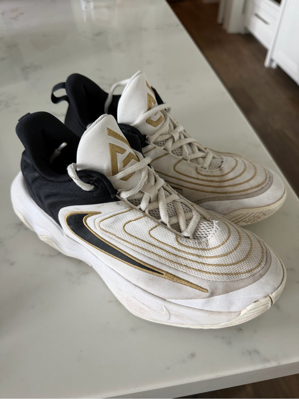 Nike GIANNIS IMMORTALITY IV